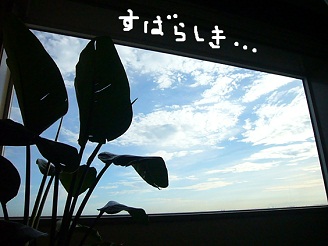 2012082921.jpg