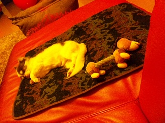 2012090101.jpg