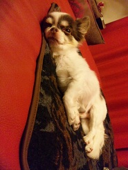 2012090103.jpg
