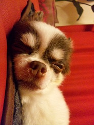 2012090104.jpg