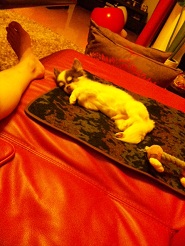 2012090105.jpg