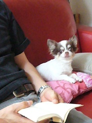 2012090527.jpg
