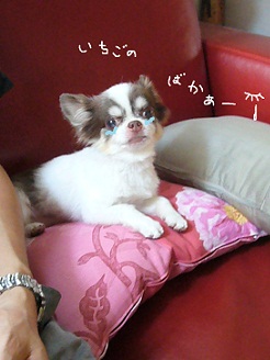 2012090528.jpg