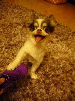 2012091201.jpg