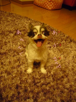 2012091202.jpg