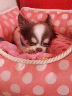 2012091301.jpg