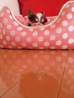 2012091302.jpg