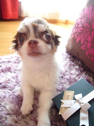 2012091303.jpg