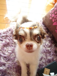 2012091304.jpg