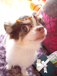 2012091305.jpg