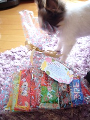 2012091307.jpg