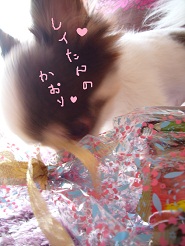 2012091308.jpg