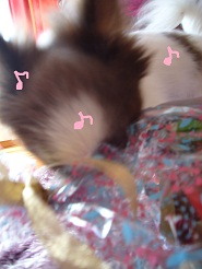 2012091310.jpg