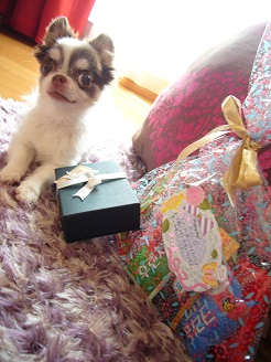 2012091315.jpg