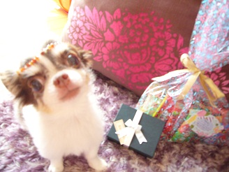 2012091316.jpg