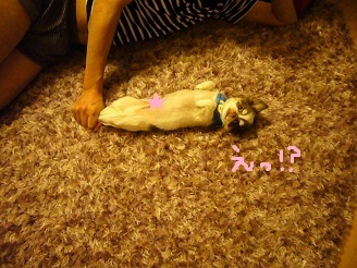 2012091401.jpg