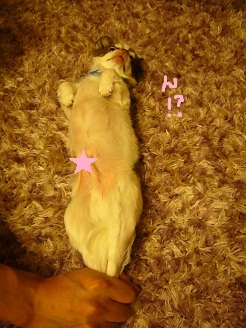 2012091402.jpg