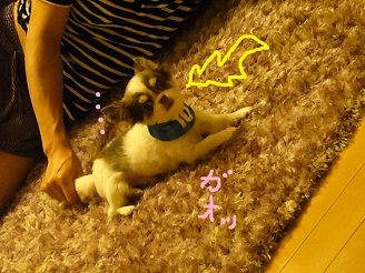 2012091403.jpg