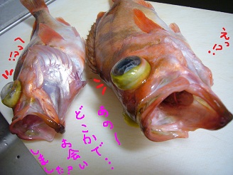 2012091700.jpg