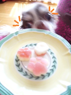 2012091701.jpg