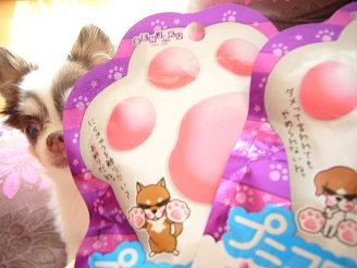2012092001.jpg