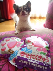 2012092002.jpg