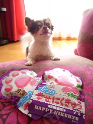 2012092003.jpg