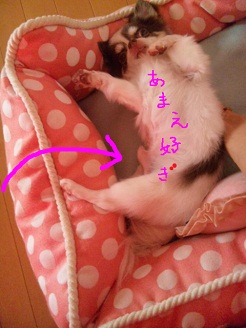 2012092201.jpg