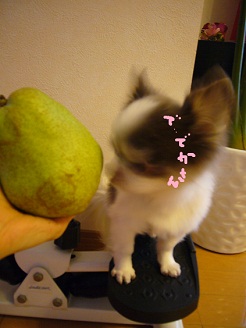 2012100202.jpg