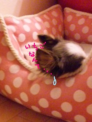 2012100702.jpg