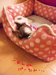 2012100703.jpg