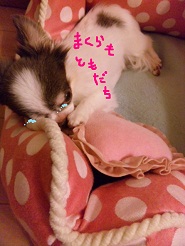 2012100704.jpg