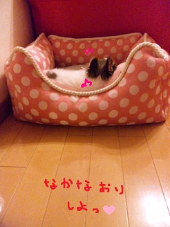 2012100705.jpg