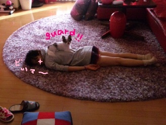 2012101301.jpg