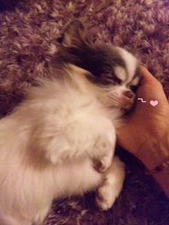 2012101302.jpg
