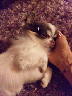 2012101303.jpg