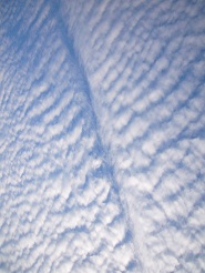 2012101311.jpg