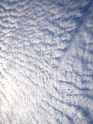 2012101312.jpg