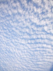 2012101313.jpg