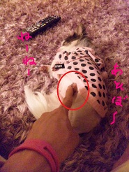 2012101501.jpg