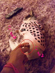 2012101502.jpg