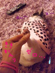 2012101504.jpg