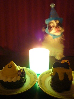 2012102301.jpg