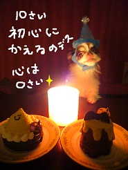 2012102303.jpg