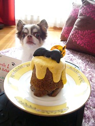 2012102307.jpg