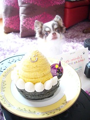 2012102308.jpg