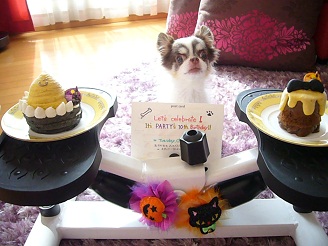 2012102309.jpg