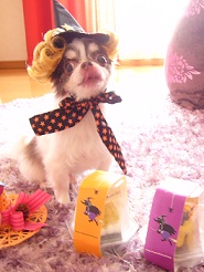 2012102310.jpg