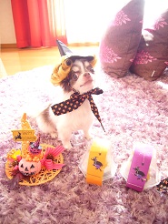 2012102311.jpg
