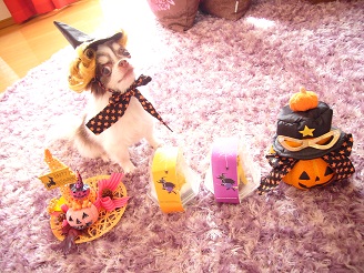 2012102312.jpg
